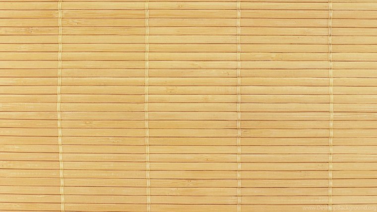 Озеро камыши туман