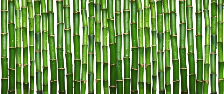 Бамбук текстура