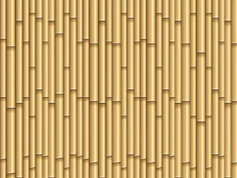 Тростник бамбук