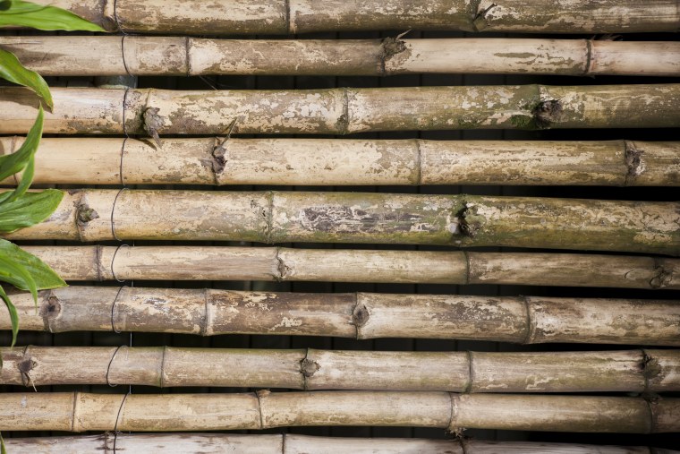 Стена из бамбука