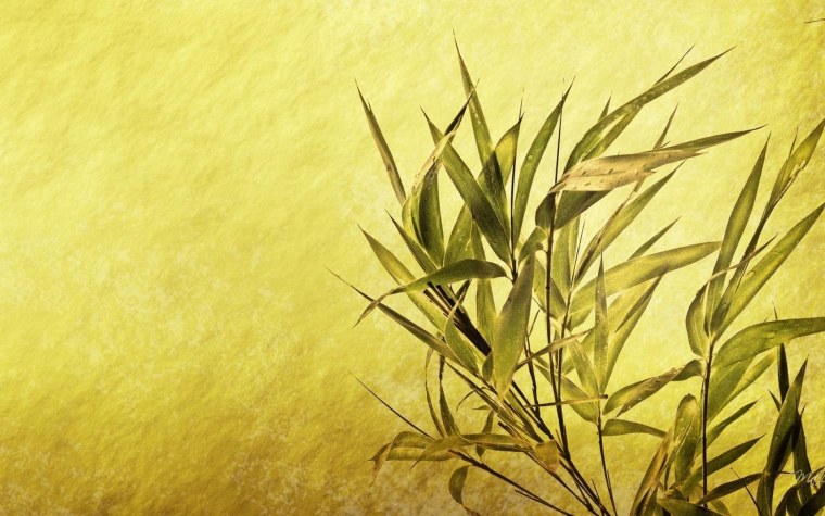 Стена фактура тростник