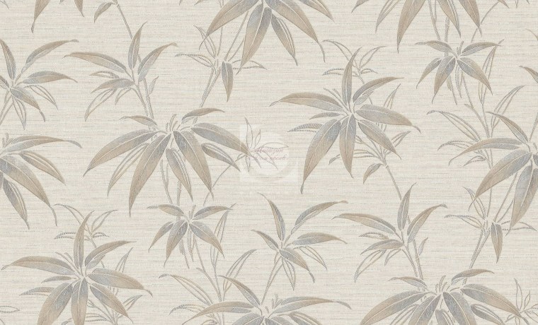 Бамбуковый лес Сагано (г.Киото)