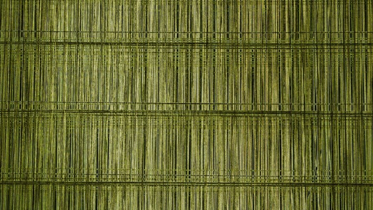 Тростник текстура