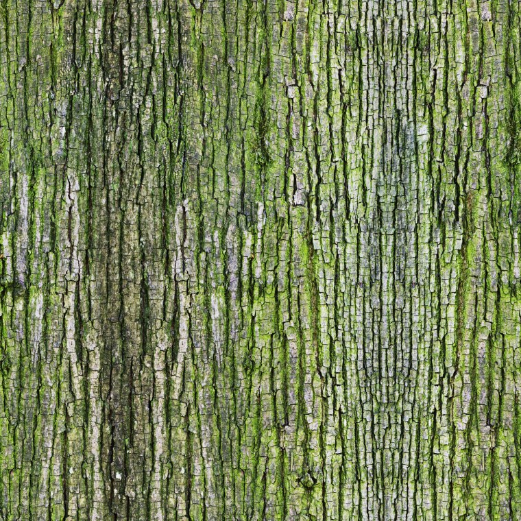 Обои с рисунком бамбука для стен