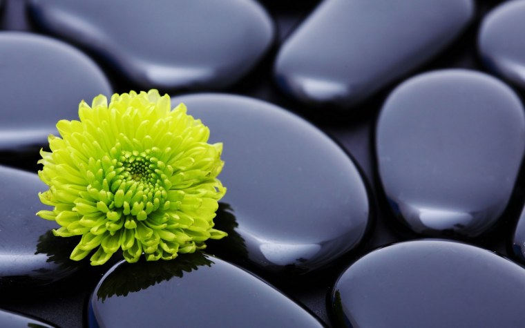 Обои на планшет темные