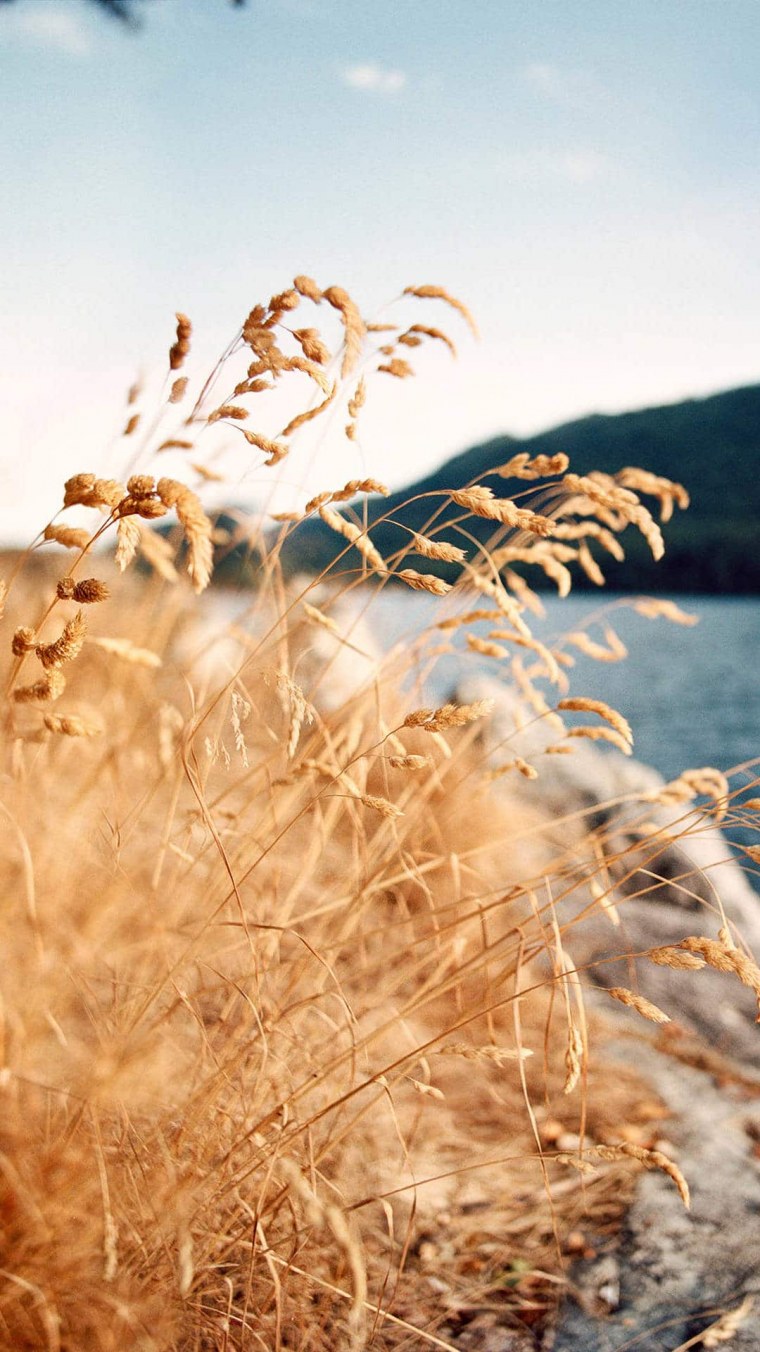 Заставка на айфон оригинальная