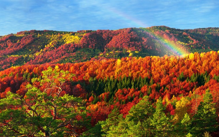 Осень закат