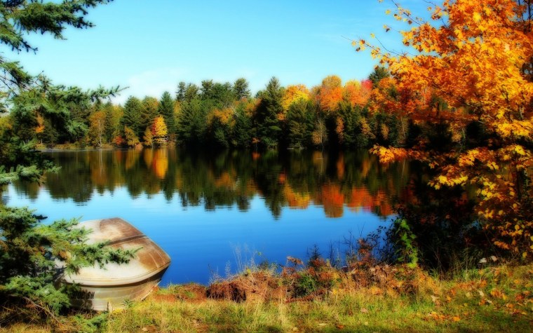 Природа осень