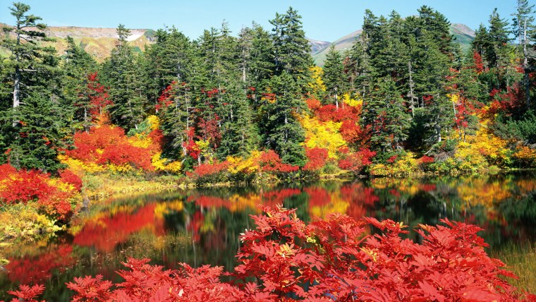 Красивая осень озеро