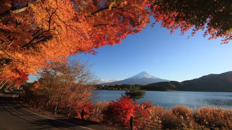 Золотая осень