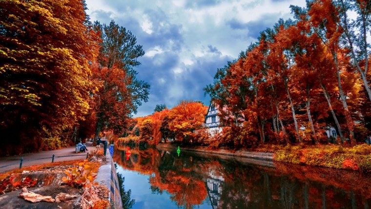 Красивые осенние снимки