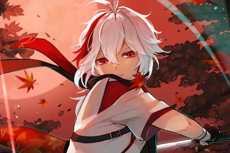 Кадзуха Геншин Импакт