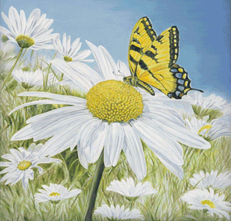 Бабочка на цветке