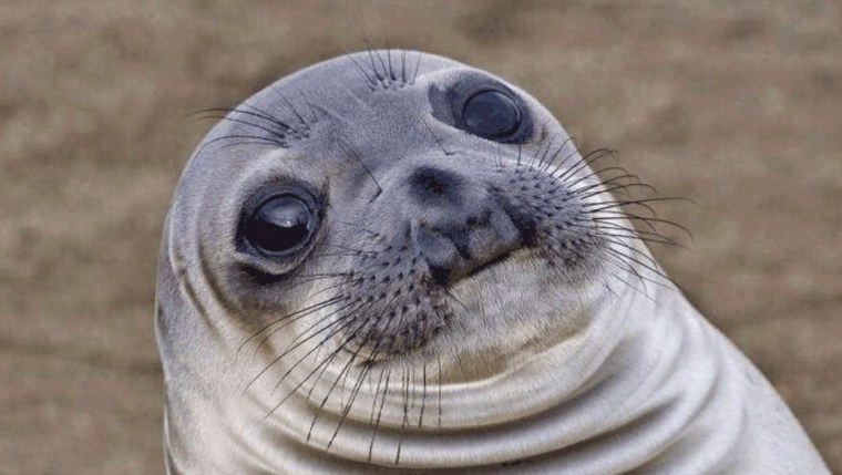 Мне лень я пельмень