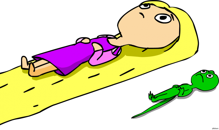 Отдыхающий тюлень