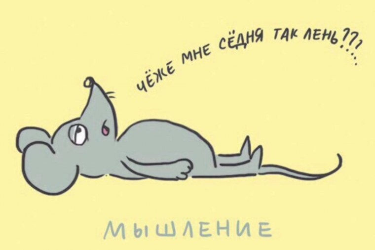 Кот валяется на диване