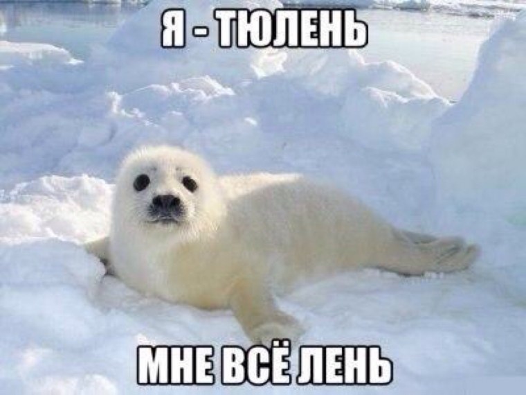 Спящий гомер симпсон