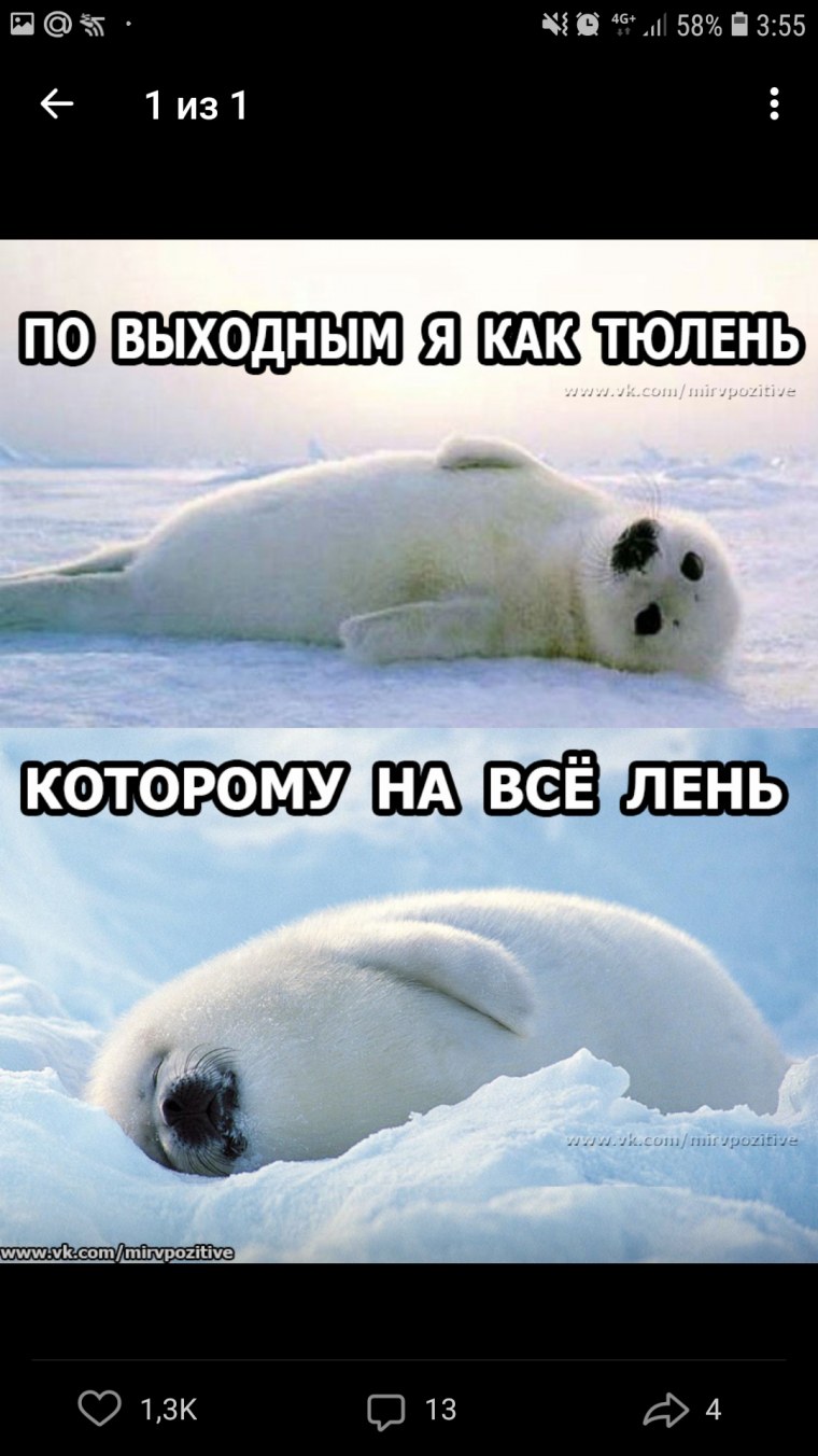 Я В отпуске