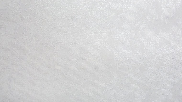 Обои Victoria Stenova Angela