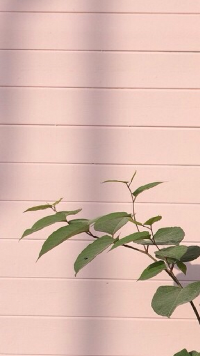 Обои экран блокировки и рабочий