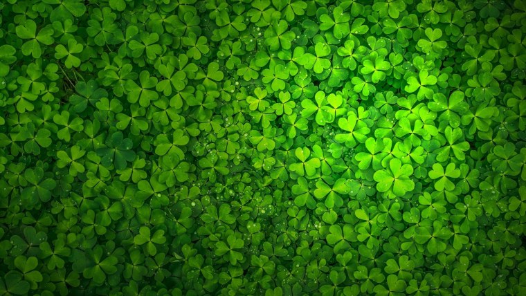 Трава и небо