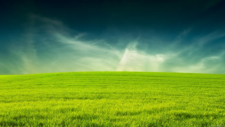 Природа зелень