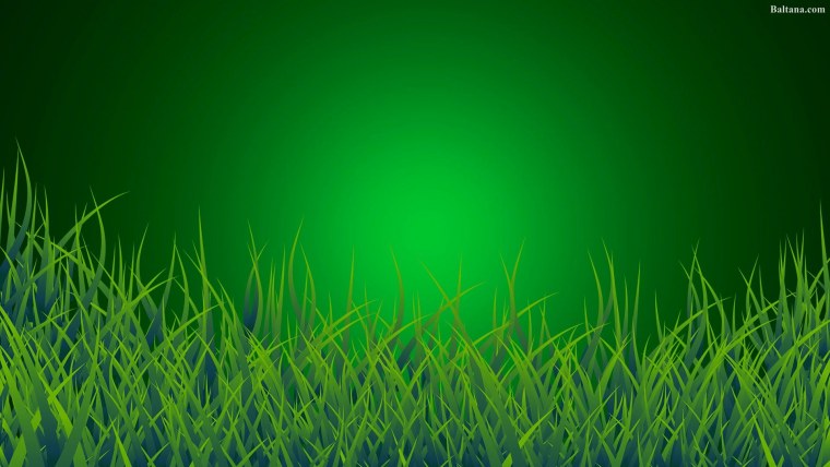 Красивая трава