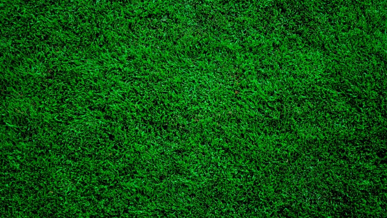 Hr5008 grass