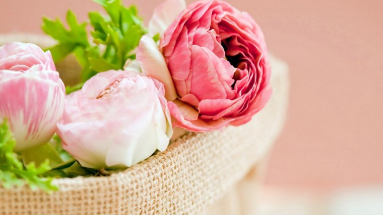 Горы озеро закат