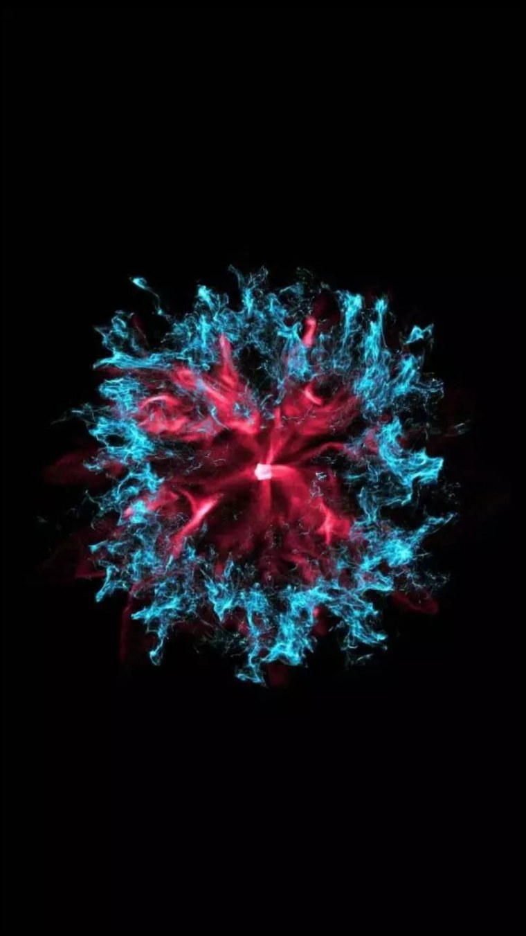 Фон для самсунга природа