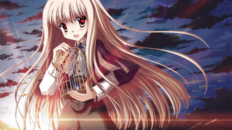 Твоё имя аниме