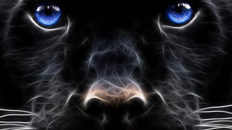 Красивые чёрные обои