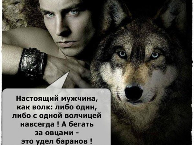 Статусы с волками