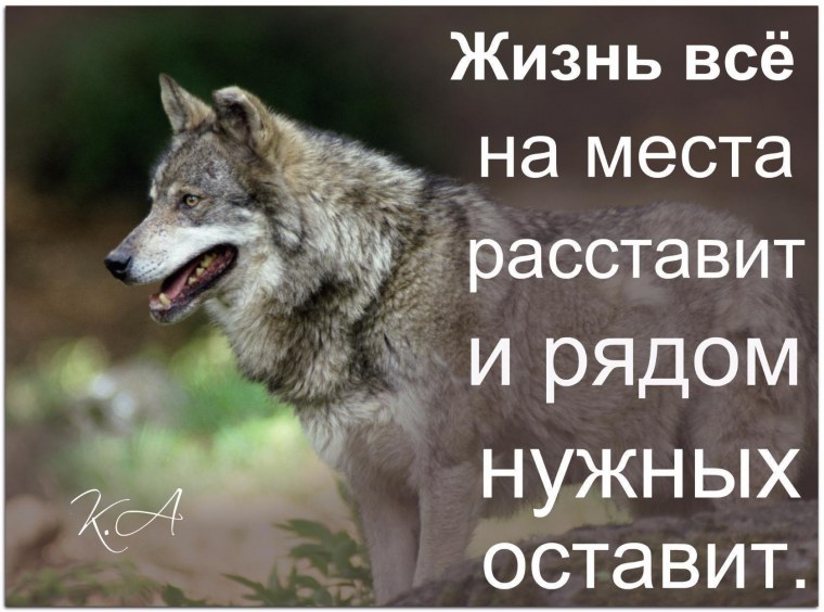 Доброту за слабость