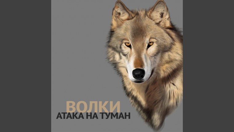 Цитаты Волков