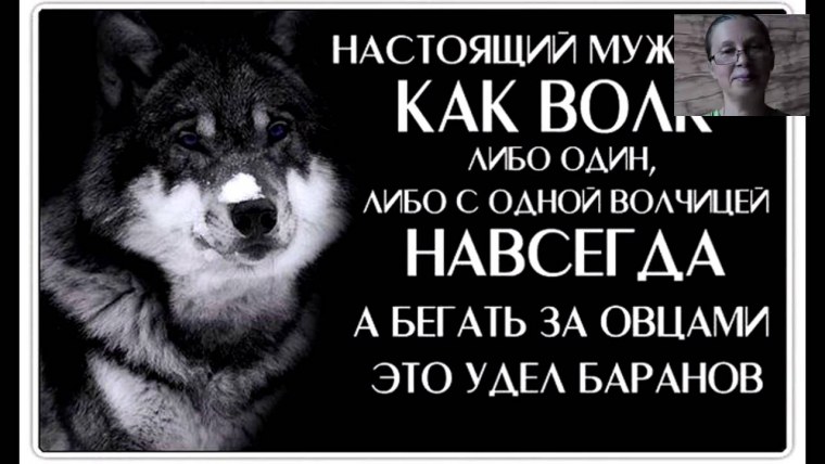 Настоящий мужчина как волк либо один