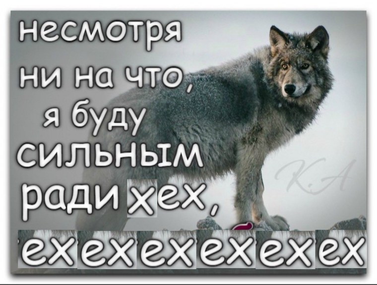 Волк с надписью