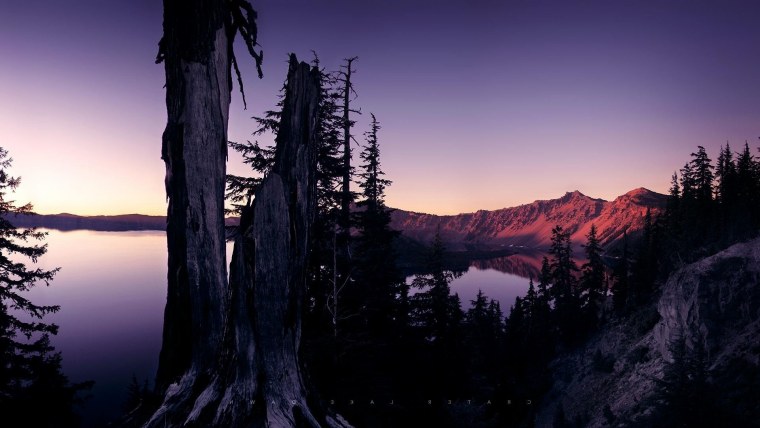 Пейзаж лето лес