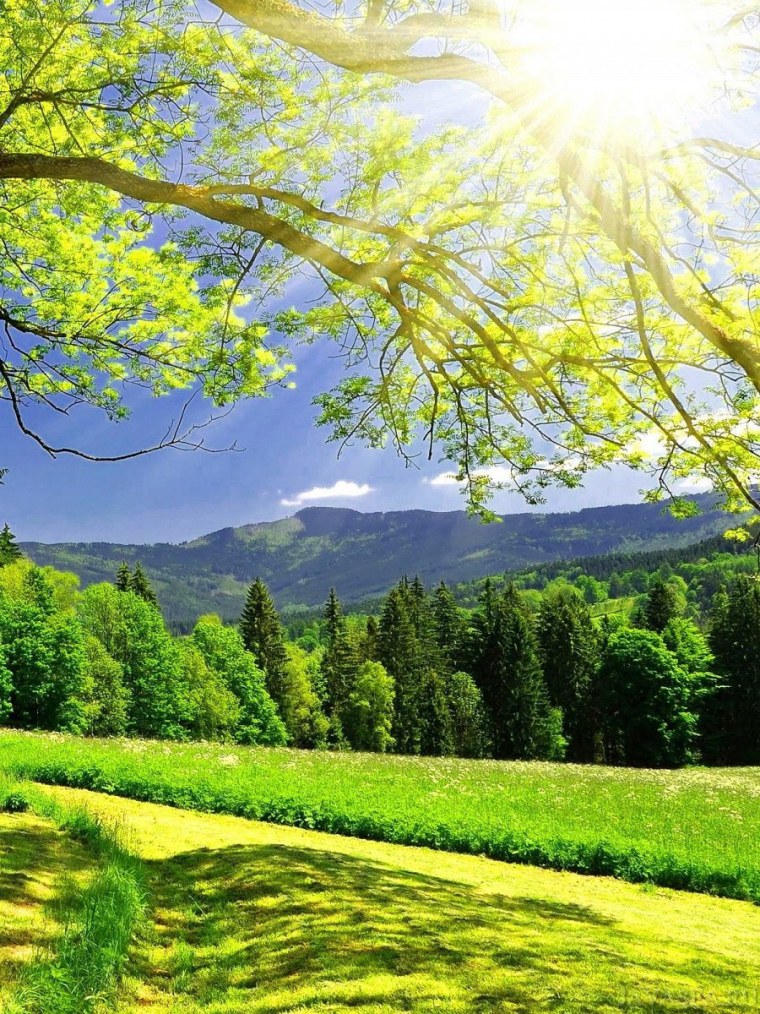 Водопад 4к обои