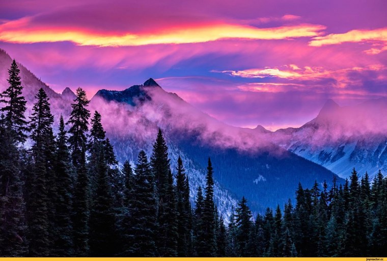 Фон природа