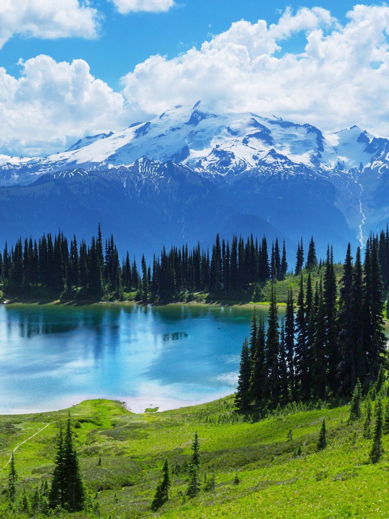 Шикарные обои на смартфон