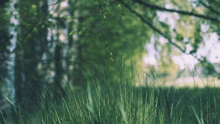 Золотая осень