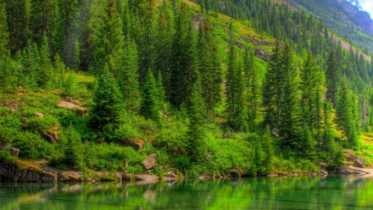 Красивый пейзаж