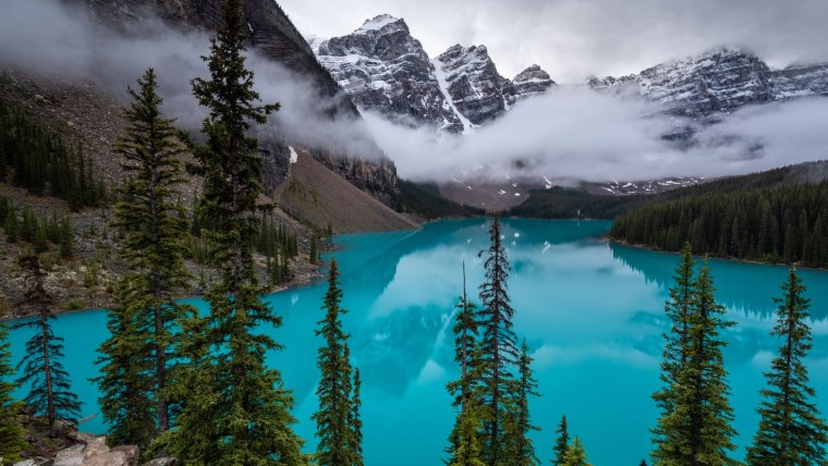 Пейзаж цветы