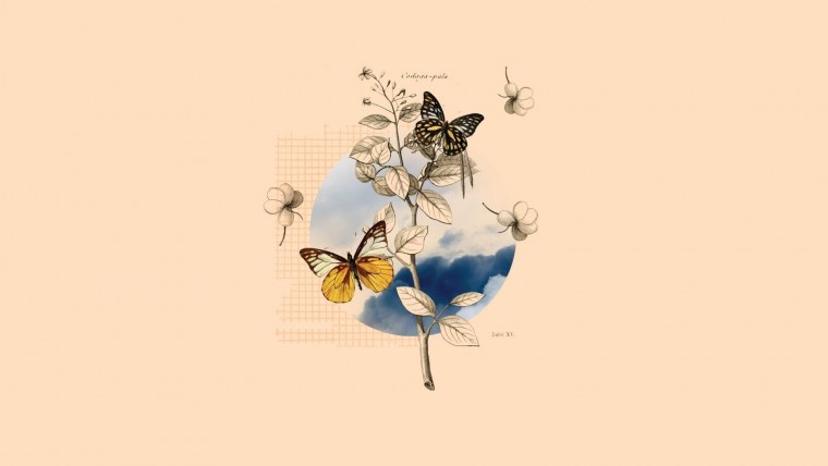 Обои с бабочками