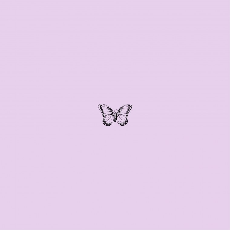 Butterfly aesthetic Wallpaper