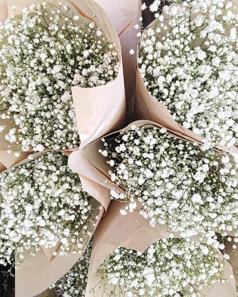 Гипсофила белое облако