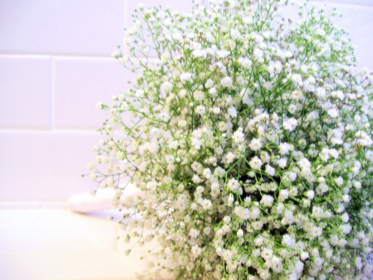 Гипсофила my Pink