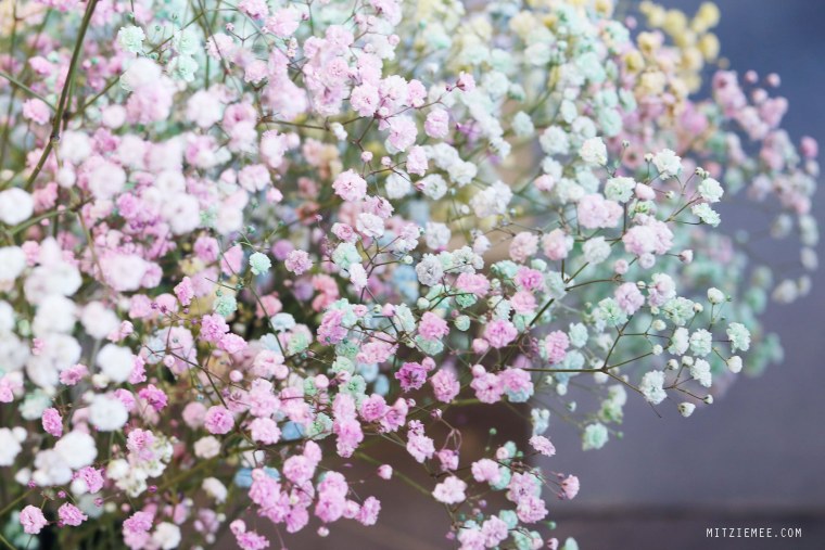 Гипсофилы Эстетика