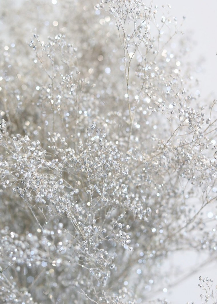 Гипсофила метельчатая Пинк фестиваль